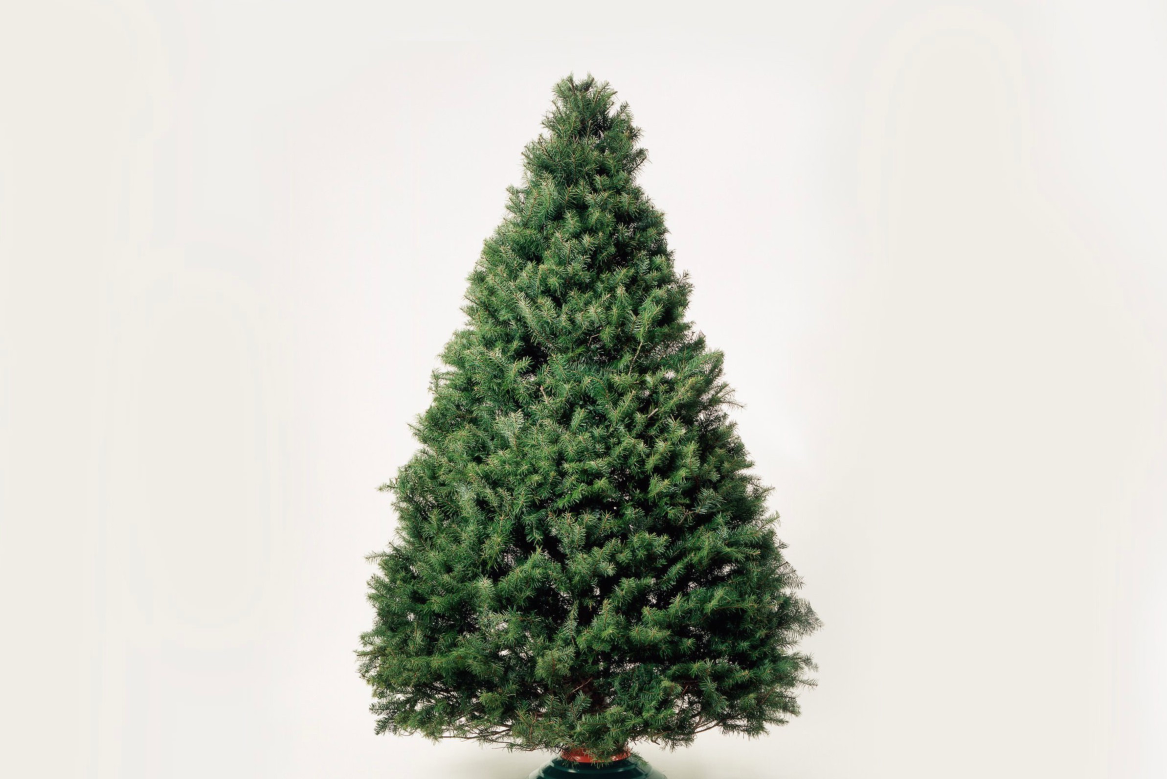 Как выбрать искусственную елку: полное руководство - 6